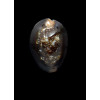caputserpentis 41,4mm