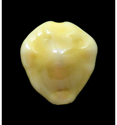 moneta rhomboides 27,0mm