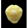 moneta rhomboides 27,0mm