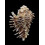 oxyacantha 60,7mm BIG