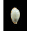 diauges 30,0mm