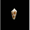 kasieae 13,0mm RARE