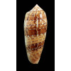 dusaveli 79,0mm