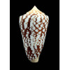 ammiralis 77,7mm