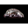 mappa rosea 57,0mm STUNNING