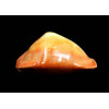 rosselli edingeri 45,4mm POR