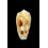 julii 53,3mm RARE