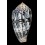 achatinus  70,5mm
