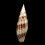 granatina  61,4mm