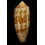 auricomus  52,2mm