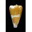 optimus 42,3mm SUPERB
