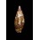 imperialis  55,1mm