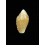 millardi 16,0mm RARE