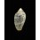 scitula 16,7mm