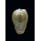 ventricosa 28,0mm SINISTRAL