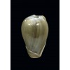 ventricosa 28,0mm SINISTRAL