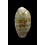 pellucens 39,0mm
