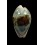 subviridis dorsalis 29,0mm