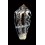achatinus simonis 68,2mm BIG