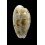 teres 33,7mm