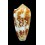floccatus magdalenae 65,4mm