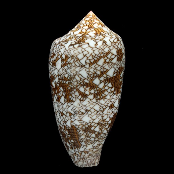 textile 104,5mm