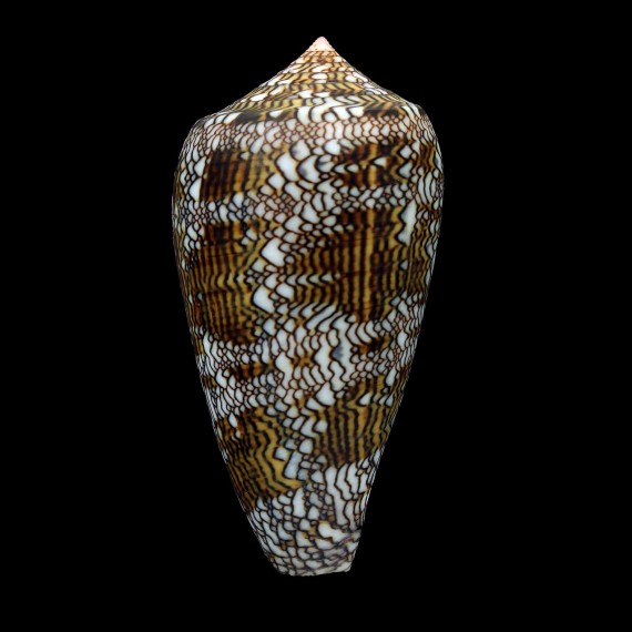 textile 70,8mm