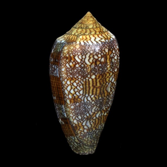 textile 67,7mm
