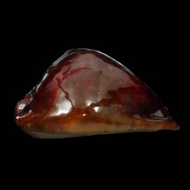 stercoraria 85,0mm RUSTY