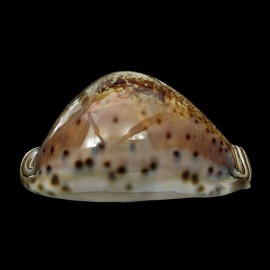 valentia 88,0mm