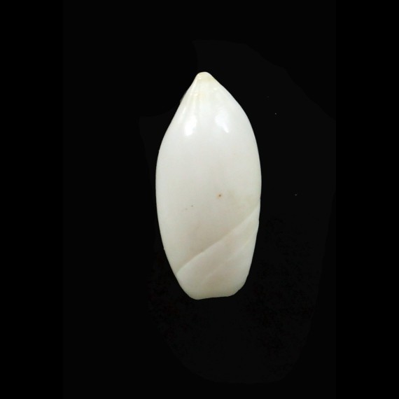 tronsoni 16,8mm UNCOMON