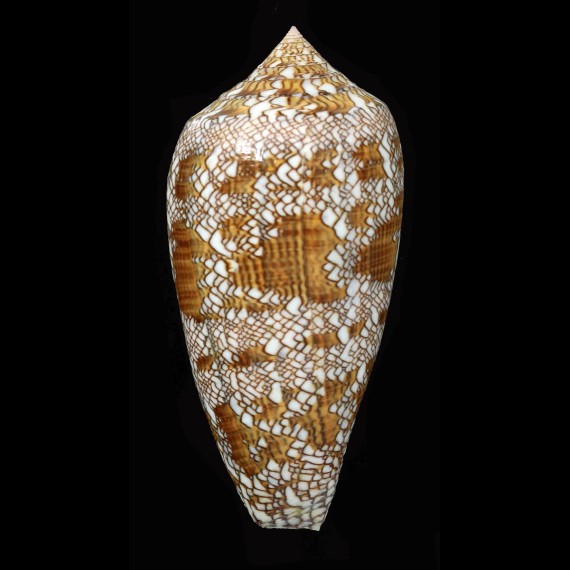 textile 83,6mm