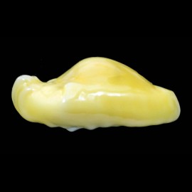 moneta 28,6mm ROSTRATE