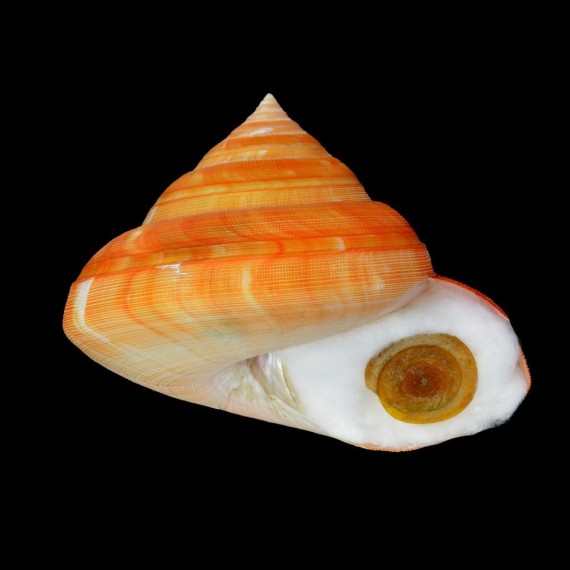 teramachi