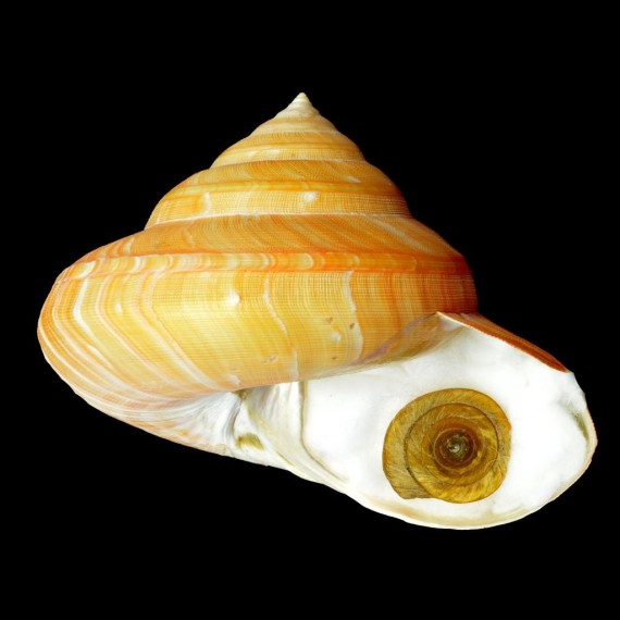 teramachi