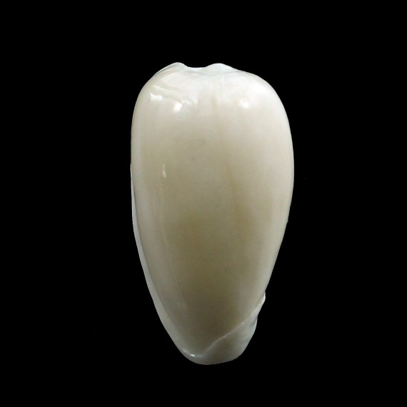 quiquandoni 17,5mm RARE