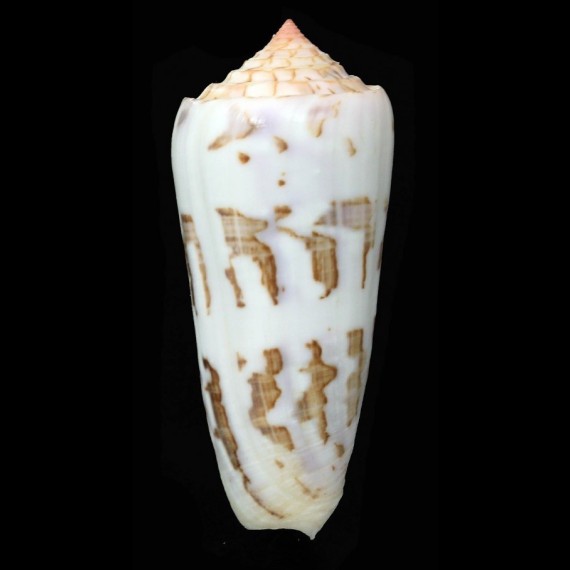 gubernator 89,7mm