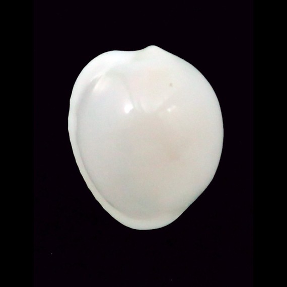 millardi 16,0mm