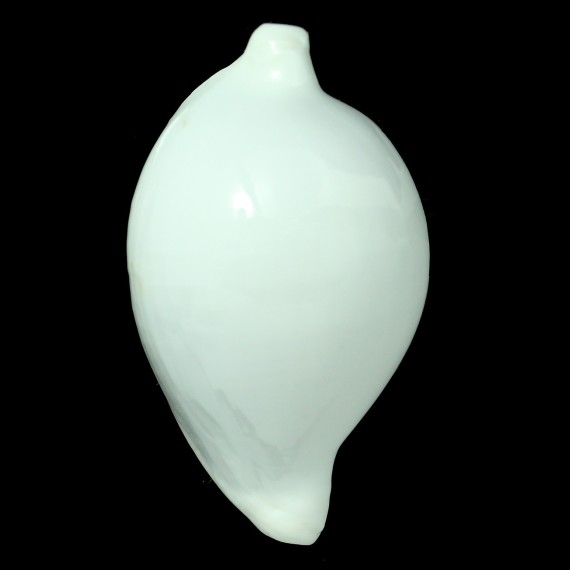 ovum 107,7mm MONSTER