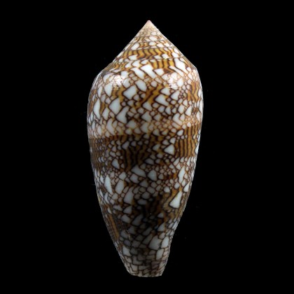 textile 73,0mm