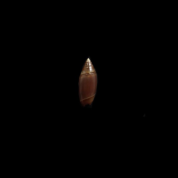 bitleri 18,0mm