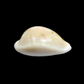 sakurai 48,0mm
