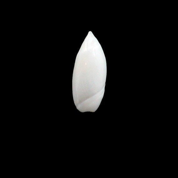 ampla 21,0mm