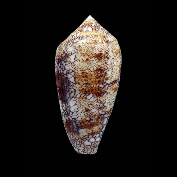 textile SP 69,0mm