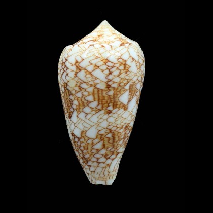textile SP 67,0mm