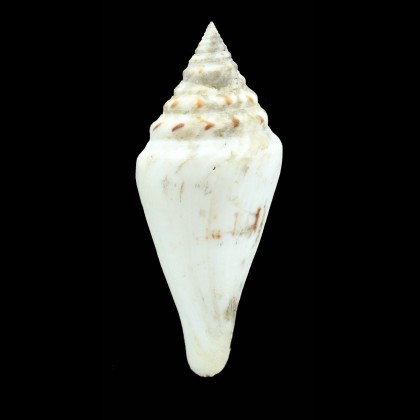 stupa 92,0mm BIG