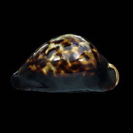 thersites 87,2mm BIG